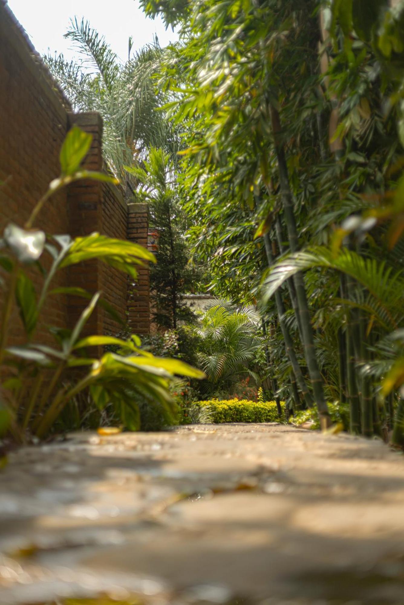 Hotel Boutique Casa Copal 阿吉吉克 外观 照片